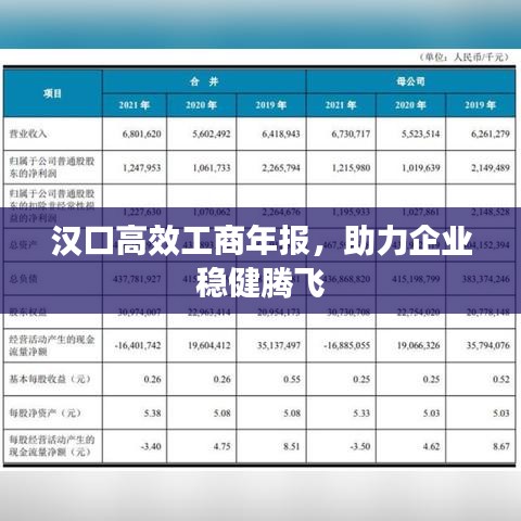 汉口高效工商年报，助力企业稳健腾飞