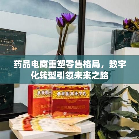 药品电商重塑零售格局，数字化转型引领未来之路
