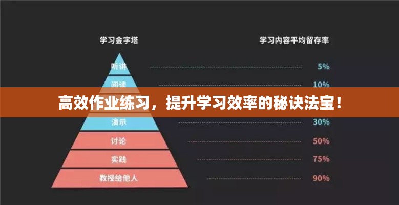 高效作业练习，提升学习效率的秘诀法宝！