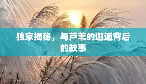 杳无音信 第2页