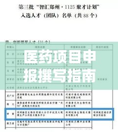 医药项目申报撰写指南，专业规范的标题设计