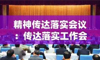 精神传达落实会议：传达落实工作会议精神 
