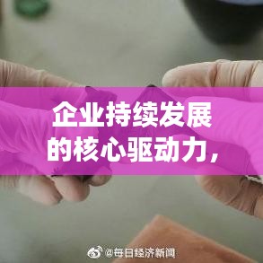 企业持续发展的核心驱动力，揭秘不断进化的战略之道