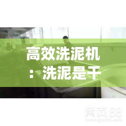高效洗泥机：洗泥是干嘛的 