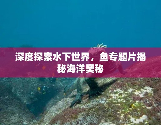 深度探索水下世界，鱼专题片揭秘海洋奥秘