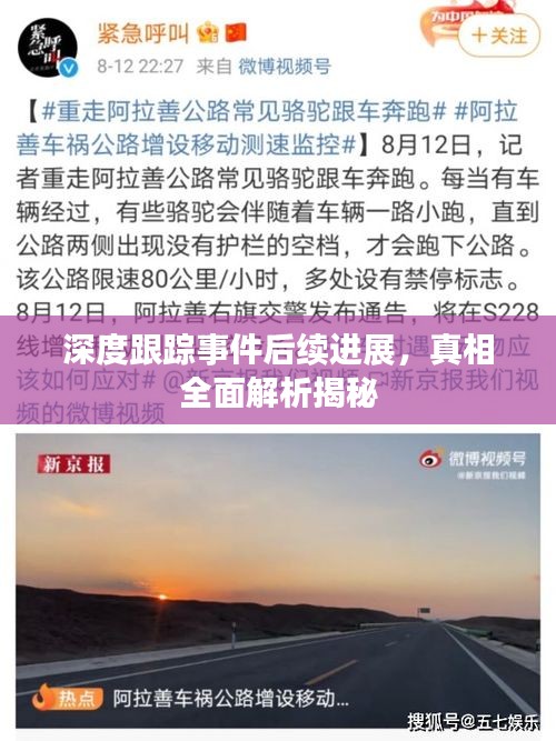 深度跟踪事件后续进展，真相全面解析揭秘