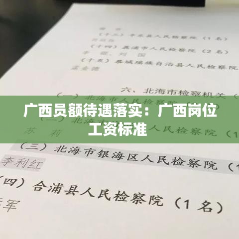 广西员额待遇落实：广西岗位工资标准 
