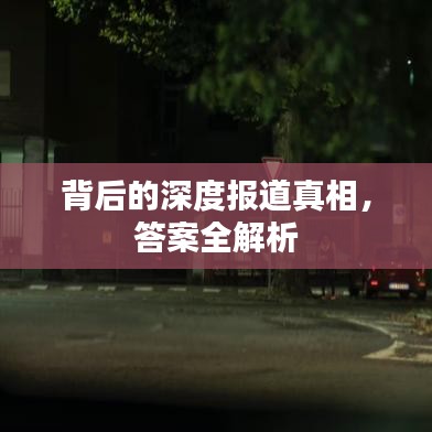 背后的深度报道真相，答案全解析