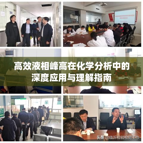 高效液相峰高在化学分析中的深度应用与理解指南