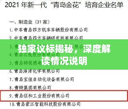 独家议标揭秘，深度解读情况说明