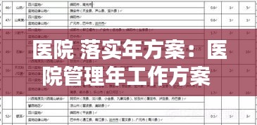 医院 落实年方案：医院管理年工作方案 
