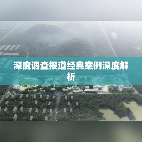 深度调查报道经典案例深度解析