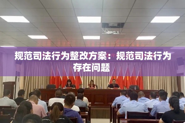 规范司法行为整改方案：规范司法行为存在问题 