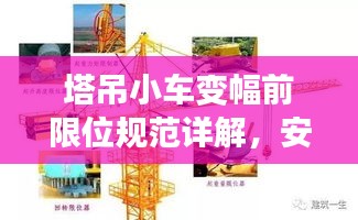 一花独放 第3页