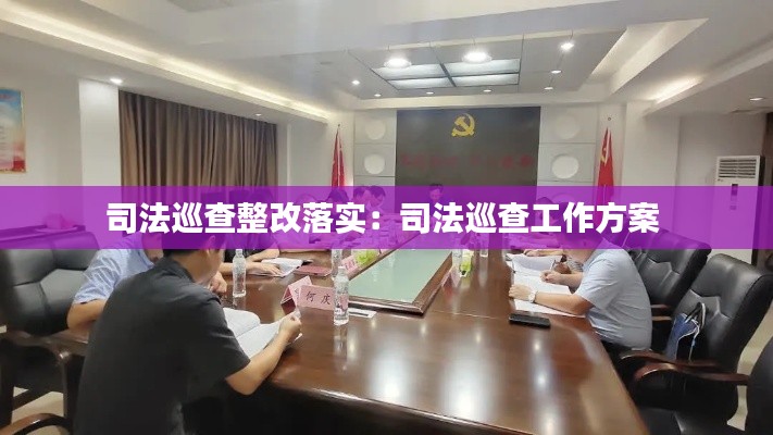 司法巡查整改落实：司法巡查工作方案 