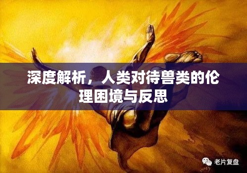 后生可畏 第3页