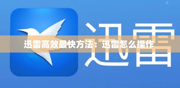 迅雷高效最快方法：迅雷怎么操作 