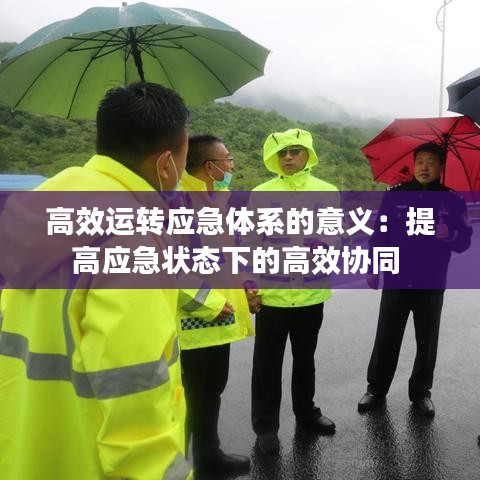 高效运转应急体系的意义：提高应急状态下的高效协同 