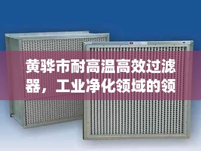 黄骅市耐高温高效过滤器，工业净化领域的领军者