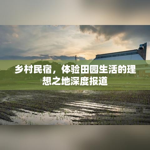 乡村民宿，体验田园生活的理想之地深度报道