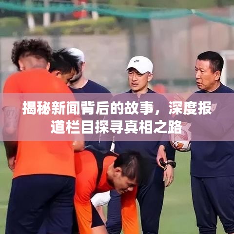 揭秘新闻背后的故事，深度报道栏目探寻真相之路