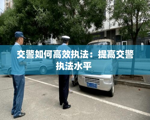 交警如何高效执法：提高交警执法水平 