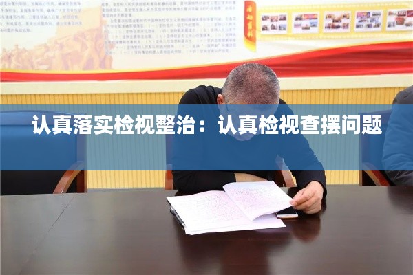 认真落实检视整治：认真检视查摆问题 