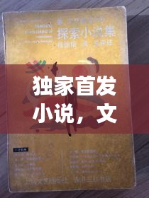 独家首发小说，文学新纪元的探索之旅