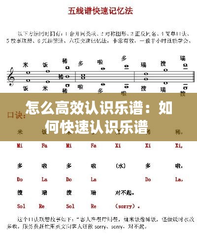 怎么高效认识乐谱：如何快速认识乐谱 