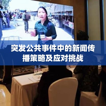 突发公共事件中的新闻传播策略及应对挑战