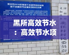 虫言鸟迹 第2页