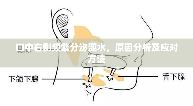 口中右侧频繁分泌涎水，原因分析及应对方法