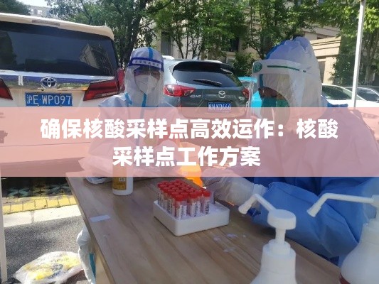 确保核酸采样点高效运作：核酸采样点工作方案 
