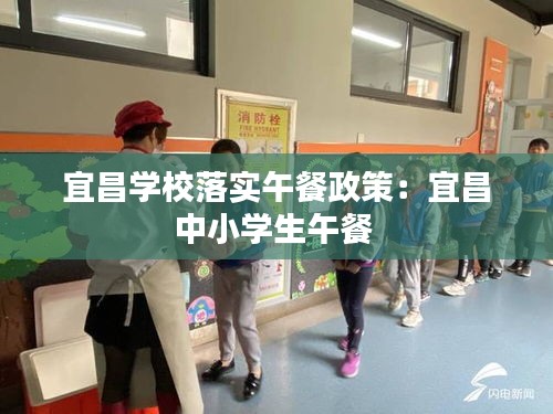 宜昌学校落实午餐政策：宜昌中小学生午餐 