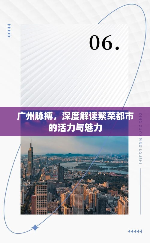 广州脉搏，深度解读繁荣都市的活力与魅力