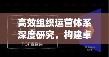 高效组织运营体系深度研究，构建卓越管理架构的秘密武器