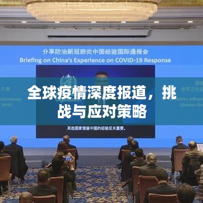 全球疫情深度报道，挑战与应对策略