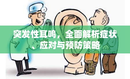 突发性耳鸣，全面解析症状、应对与预防策略