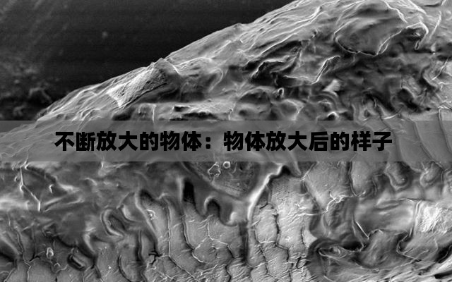 不断放大的物体：物体放大后的样子 