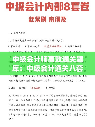 中级会计师高效通关题库：中级会计通关八套卷 