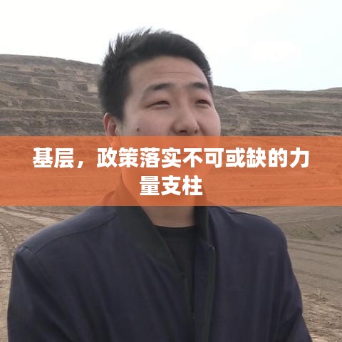 基层，政策落实不可或缺的力量支柱