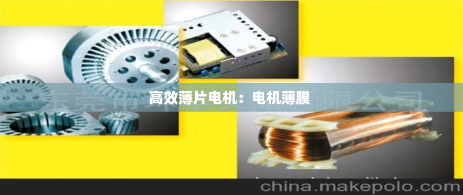 自作主张 第3页