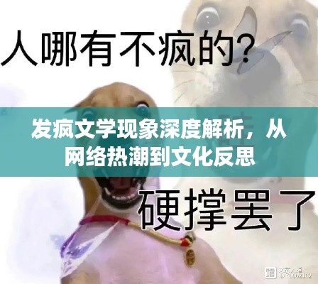 发疯文学现象深度解析，从网络热潮到文化反思