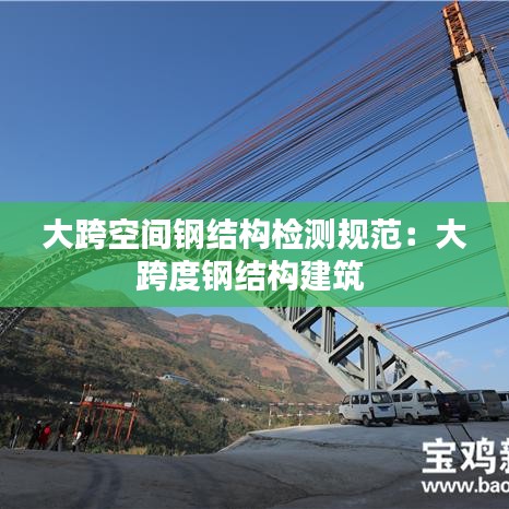 大跨空间钢结构检测规范：大跨度钢结构建筑 