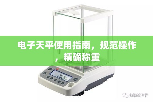 电子天平使用指南，规范操作，精确称重