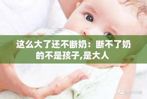 这么大了还不断奶：断不了奶的不是孩子,是大人 
