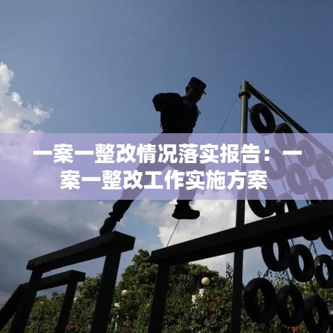 一案一整改情况落实报告：一案一整改工作实施方案 