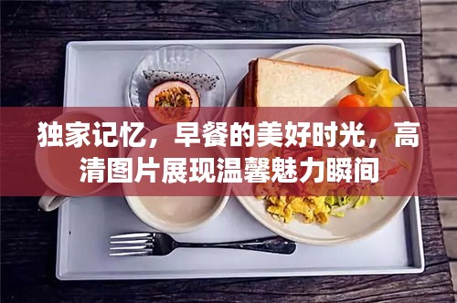 独家记忆，早餐的美好时光，高清图片展现温馨魅力瞬间