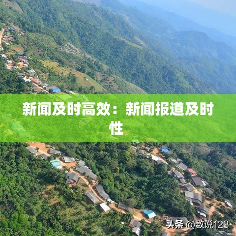 新闻及时高效：新闻报道及时性 