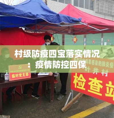 村级防疫四宝落实情况：疫情防控四保 